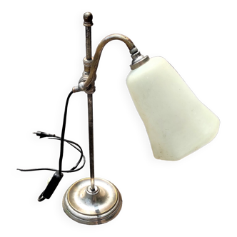 Adjustable gooseneck mount lamp with glass paste lampshade