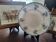Old earthenware plate – Saint-Amand & Hamage (Nord)