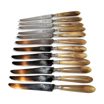 Series of 12 old knives in horn and steel blade, 20.5cm