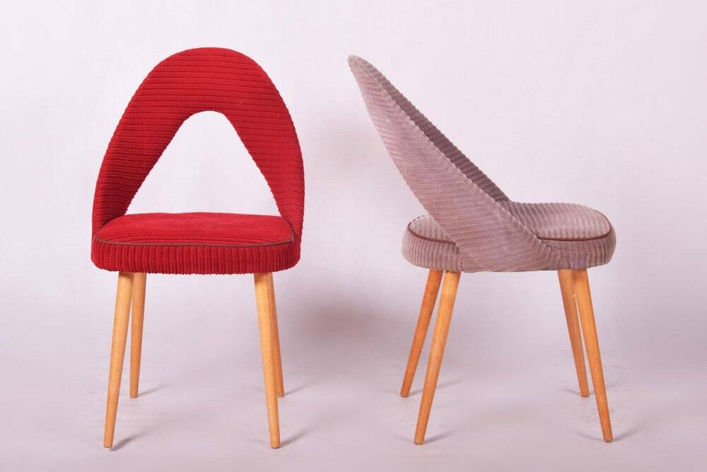 Chaises Mid-Century en hêtre, tchèque, années 1950, ensemble de 4