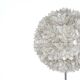 Mother-of-pearl floor lamp by Rausch, Germany, 1960s.