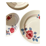 Decorative ceramic plate