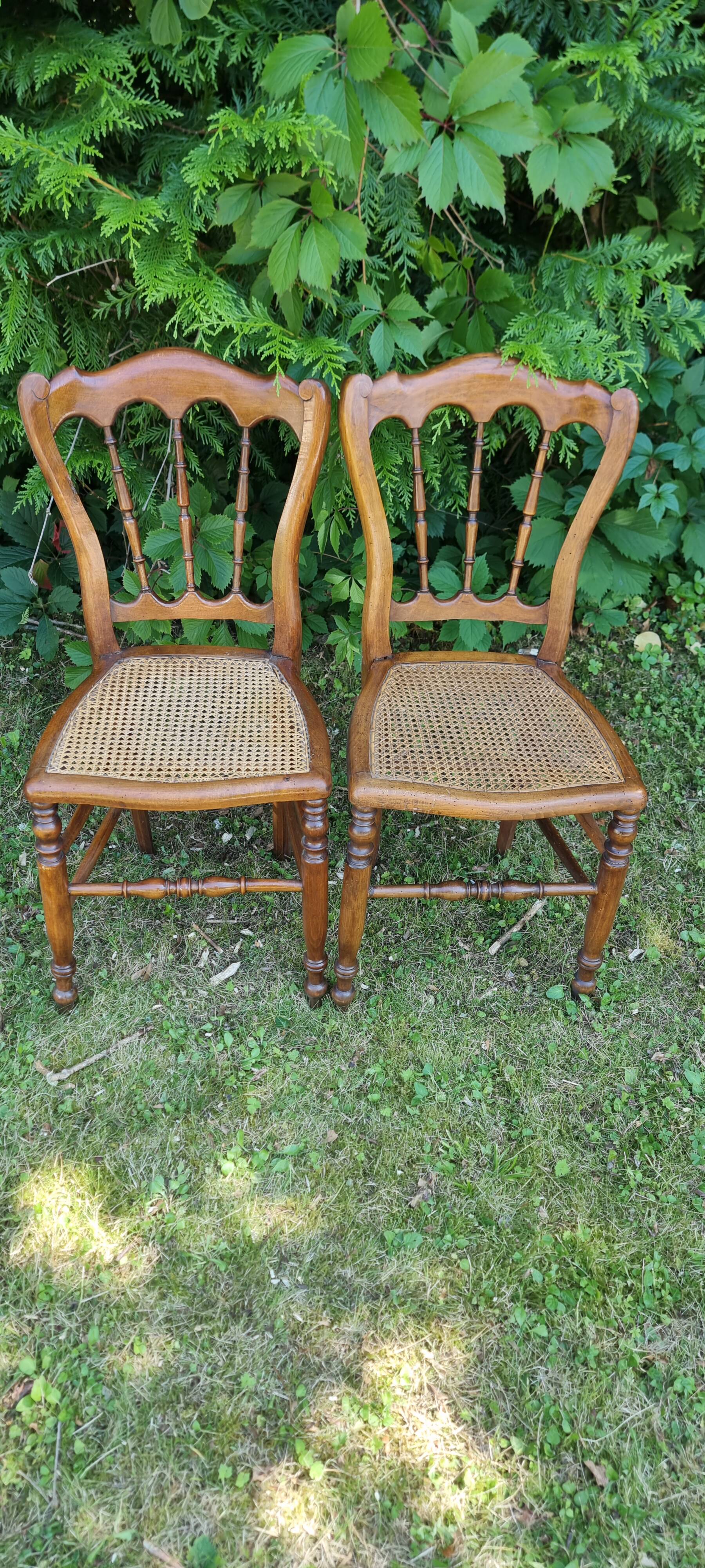 Pair of Napoleon III style caned chairs