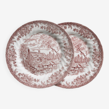 Myott Staffordshire English dinner plates, The Brook model.