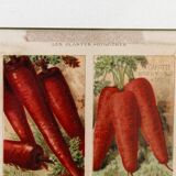 Set of 4 framed prints