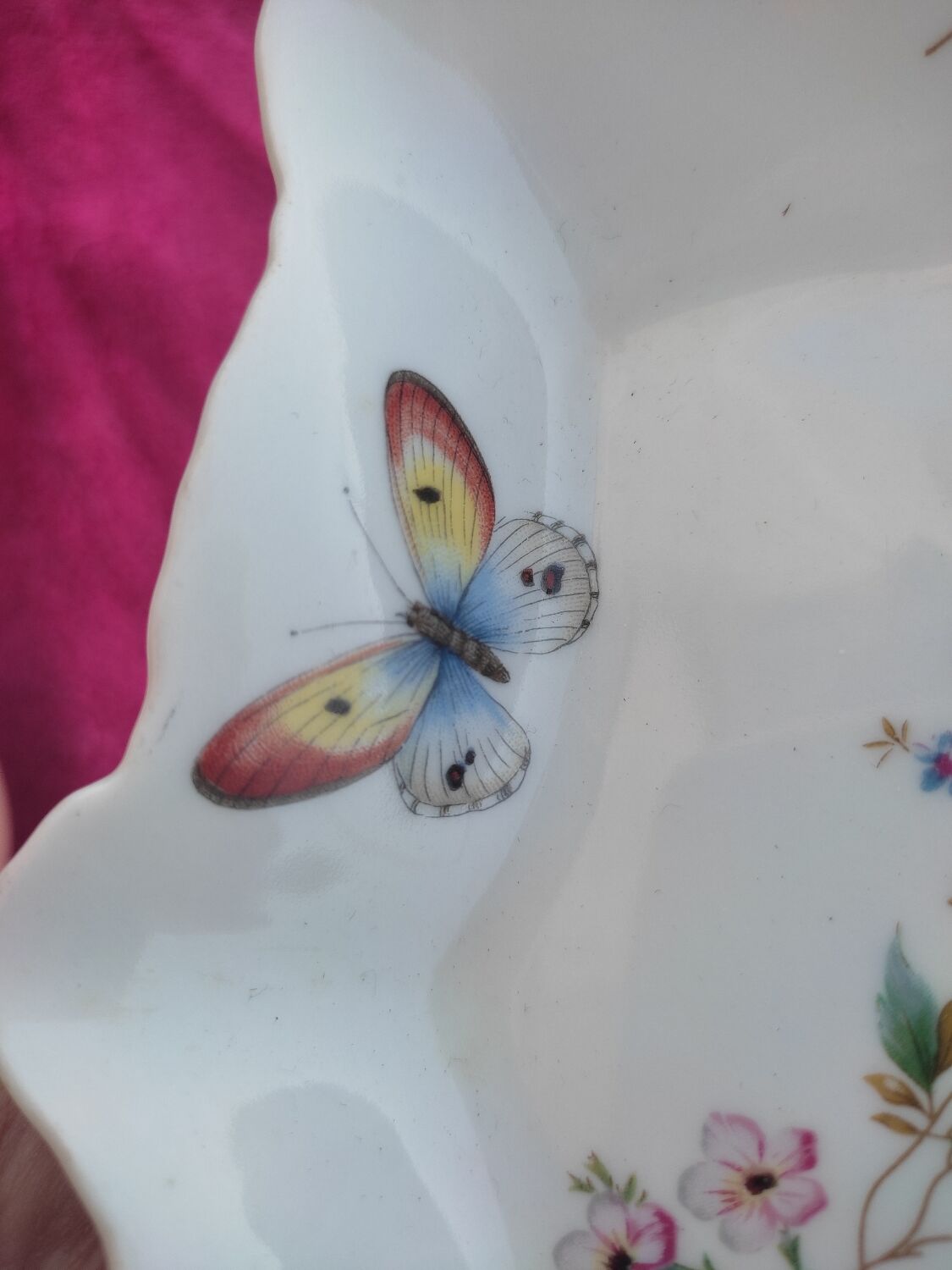 Porcelain sushi or sweet dishes