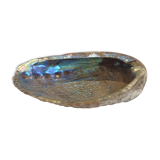 Pearl shell trinket bowl