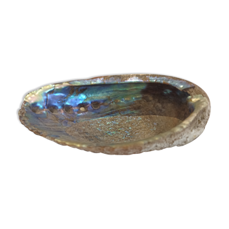 Pearl shell trinket bowl