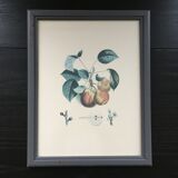 Botanical peach board