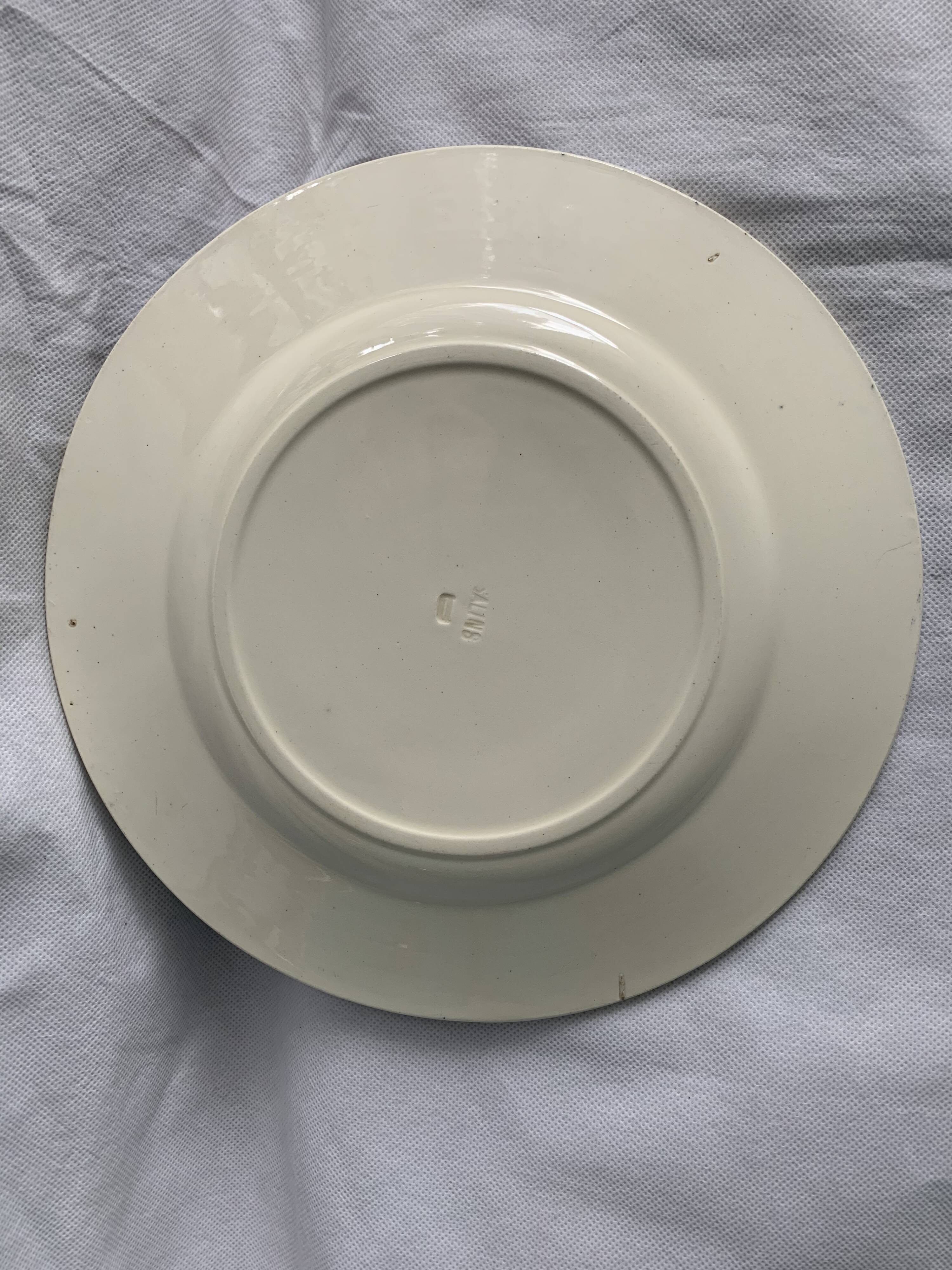 Lot of 12 old flat plates and 2 dishes, Terre de fer Henri II Salins