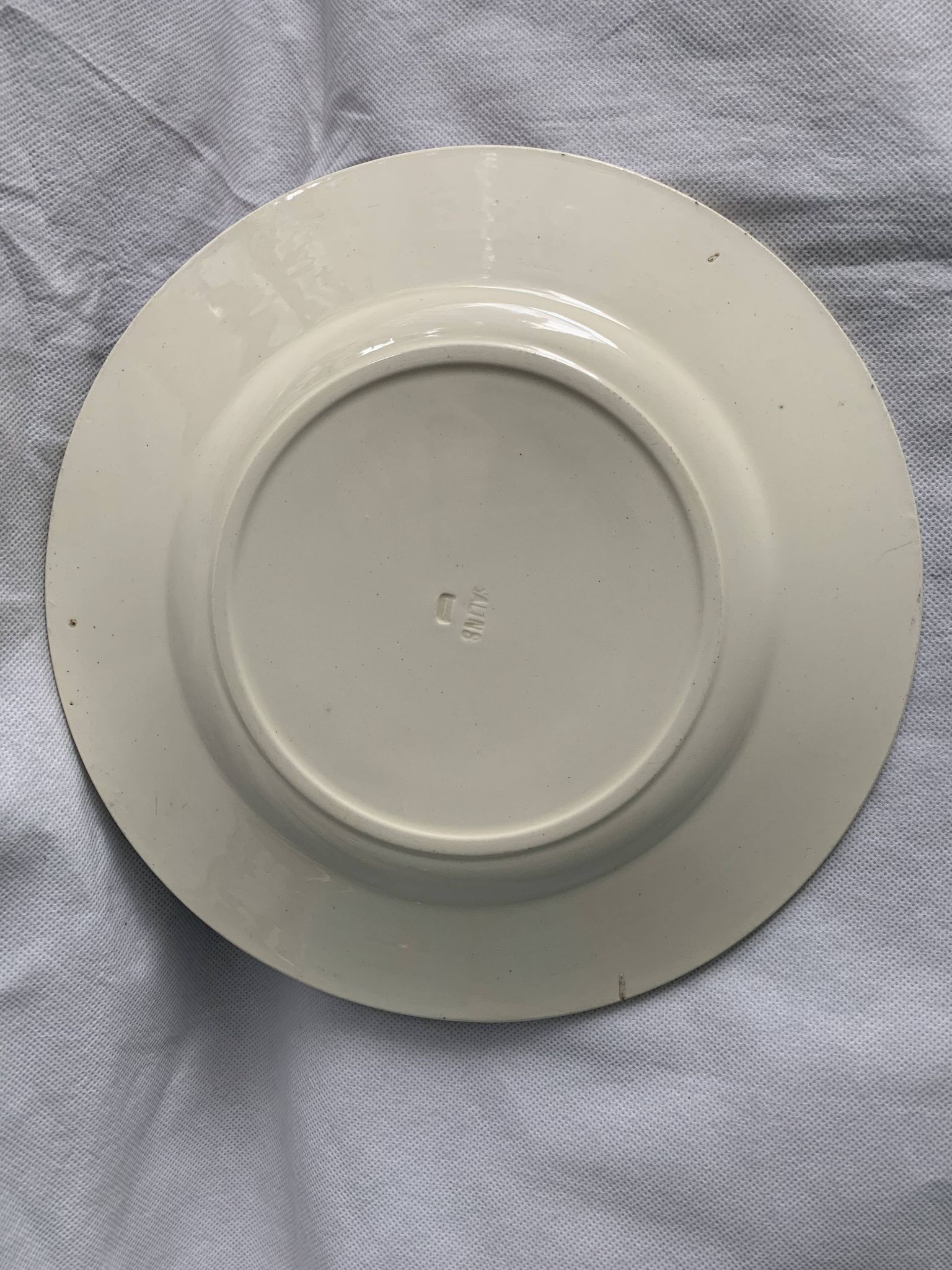 Lot of 12 old flat plates and 2 dishes, Terre de fer Henri II Salins