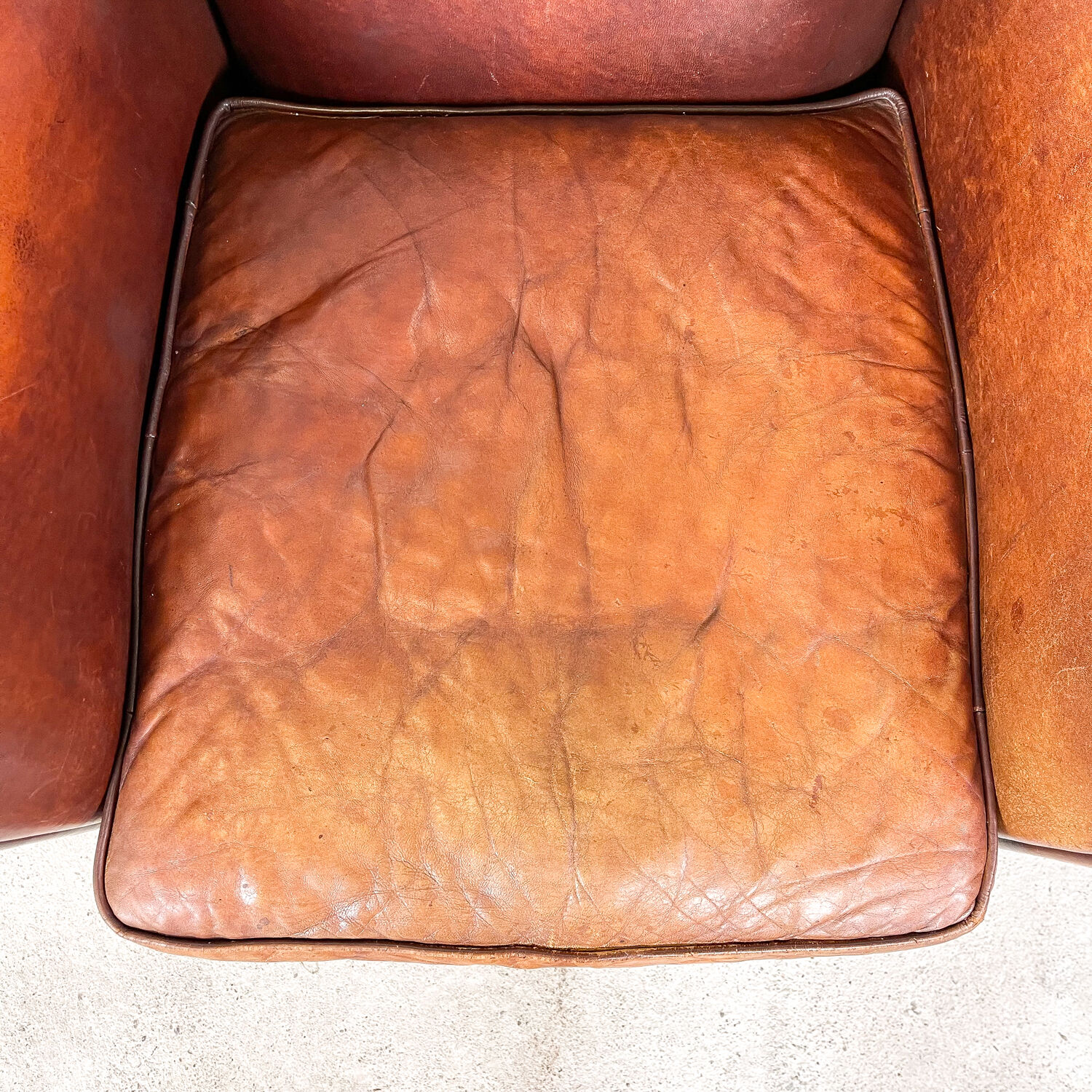 Vintage sheep leather wingback armchair zuna