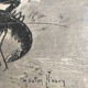 Original vintage engraving lobster and lobster