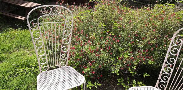 Chaises métal perforé trèfle dossier haut années 50 Set de 2