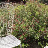 Perforated metal chairs clover backrest high 50s Set of 2