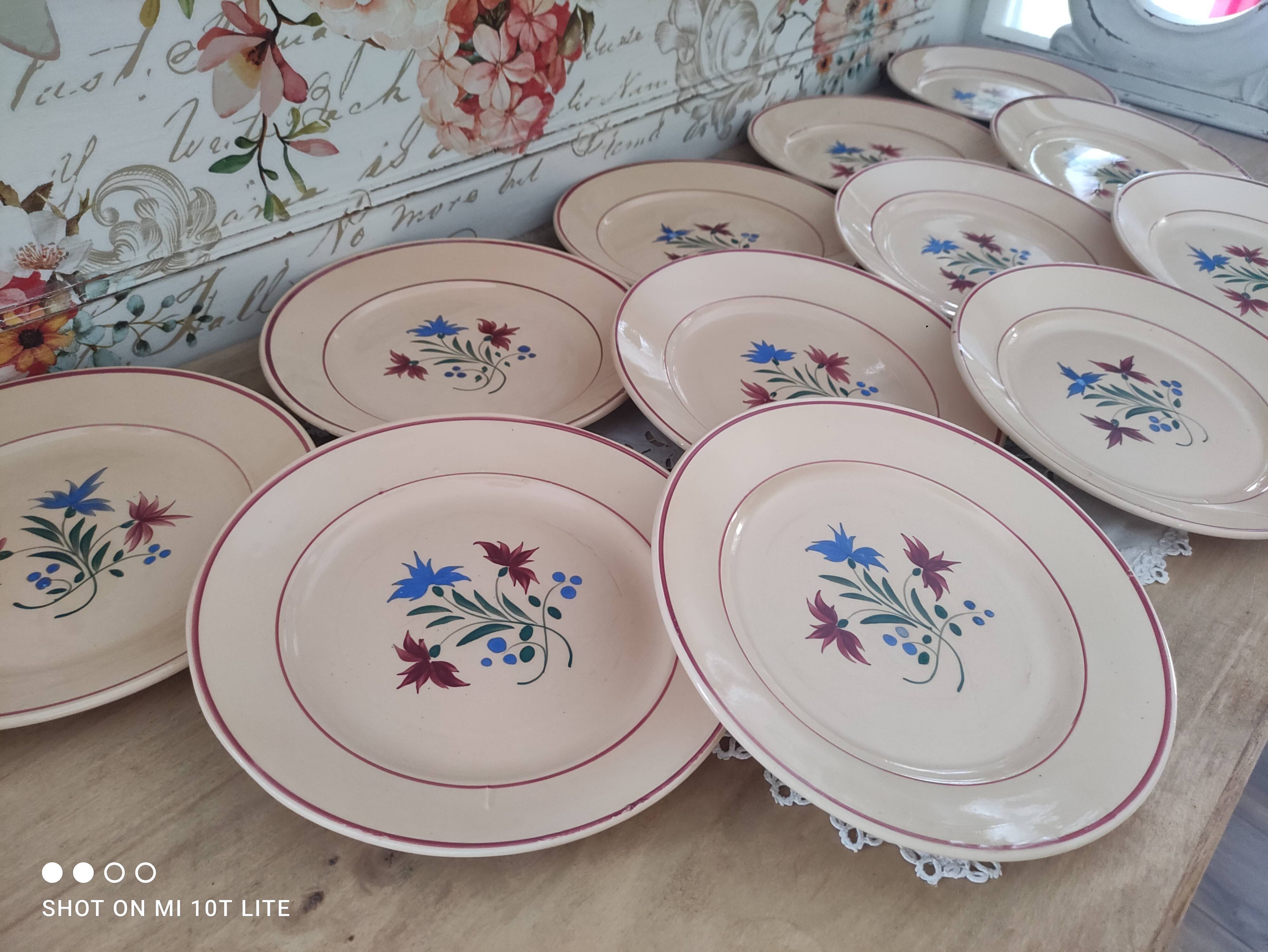 Set of 12 flat plates 30s earthenware K&G Lunéville model Denise