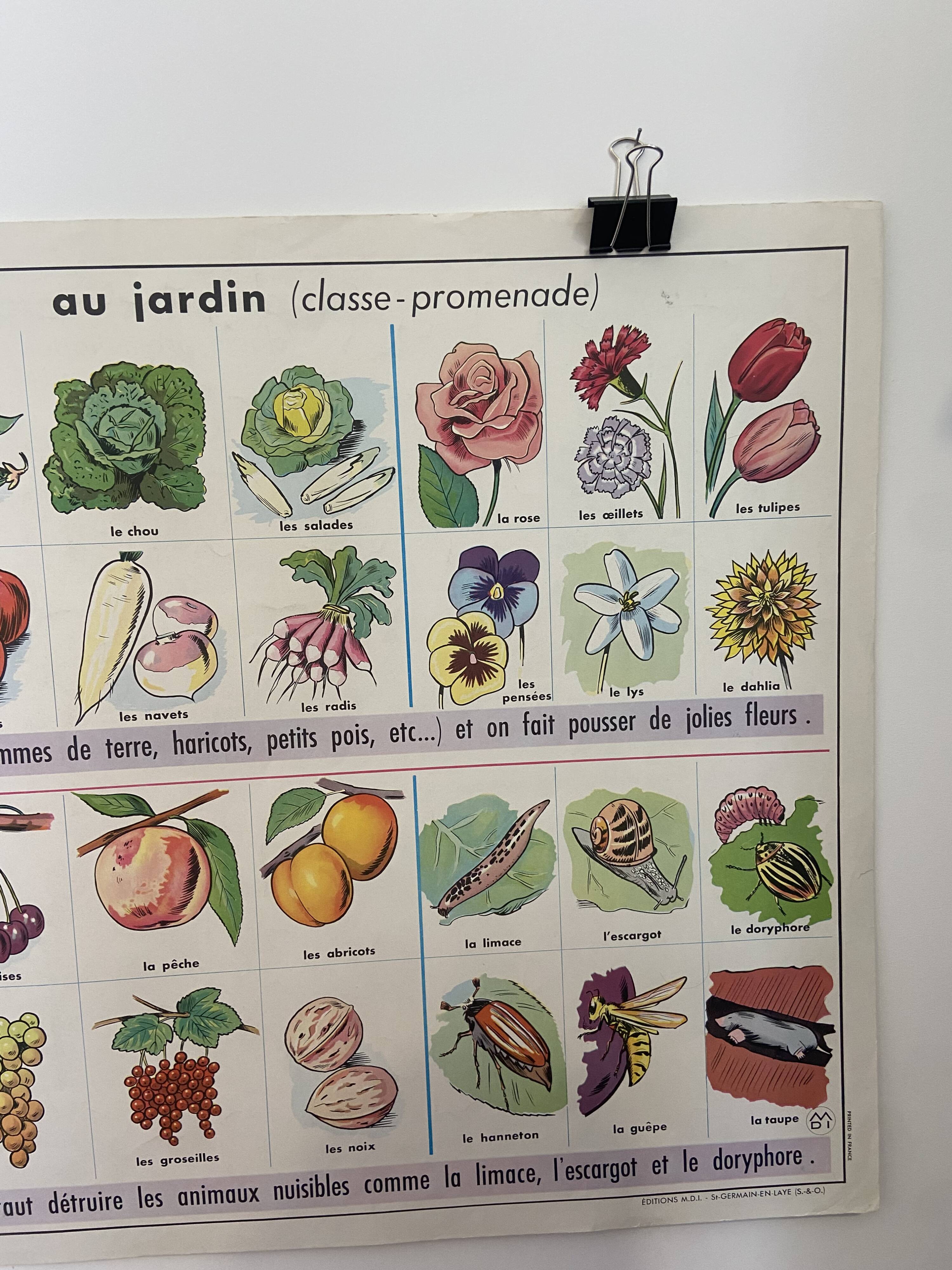 Vintage educational poster