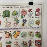 Vintage educational poster