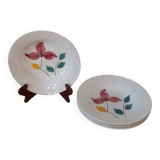 4 Digoin Sarreguemine plates