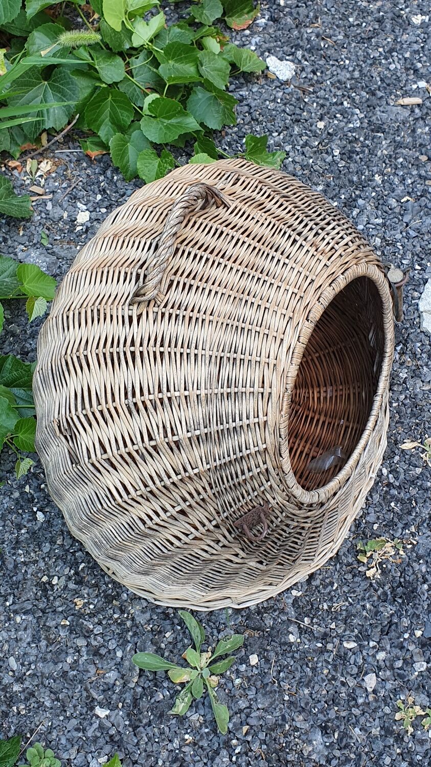 Rattan basket