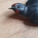 Paire d'hirondelles en bois vintage