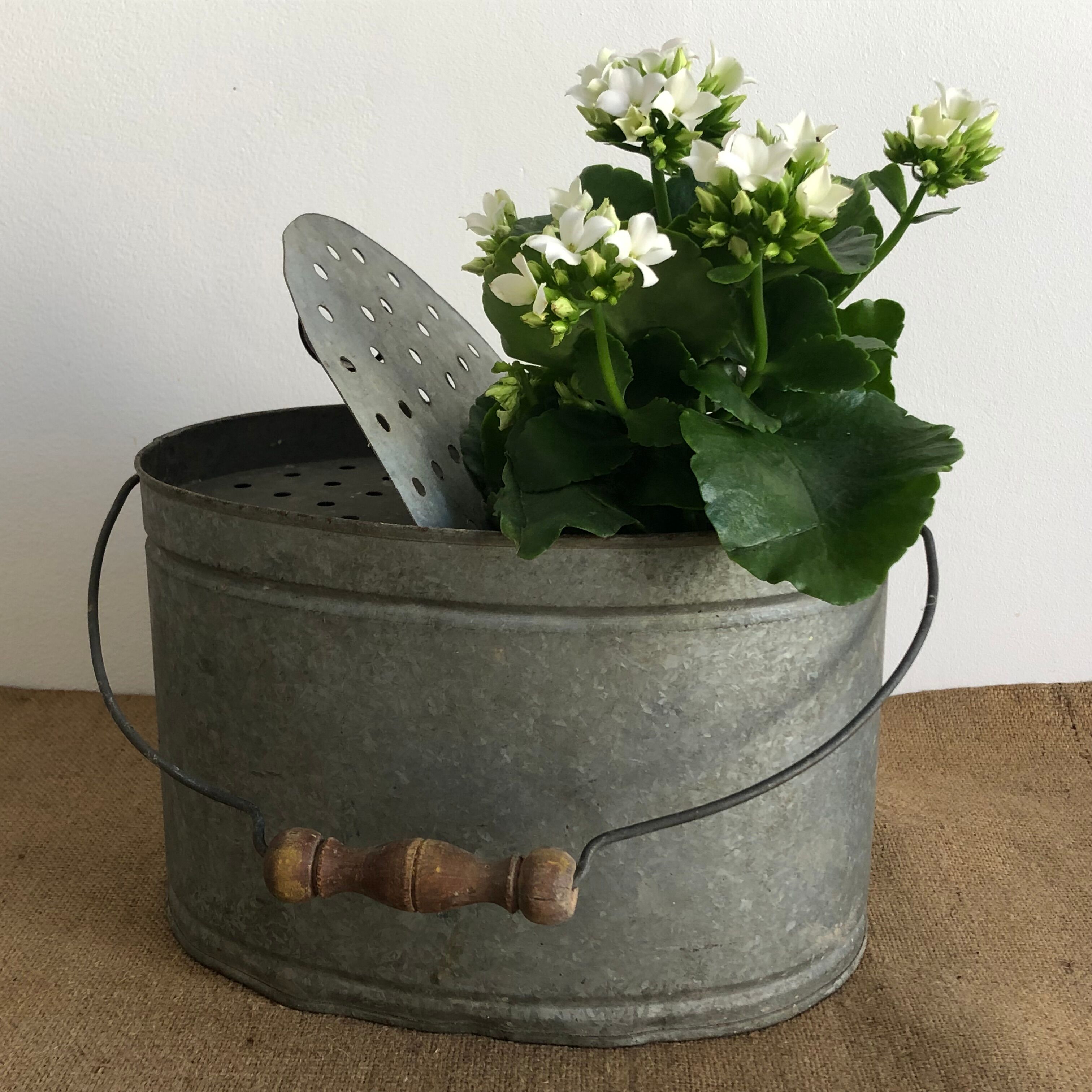 Old zinc stud, fisherman's live bucket