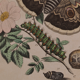 Lithography engraving vintage butterfly - Buffon 1850