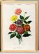 Poster about the Dahlia, based on an old engraving from 1849.