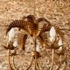Palm type chandelier by Hans Kogl