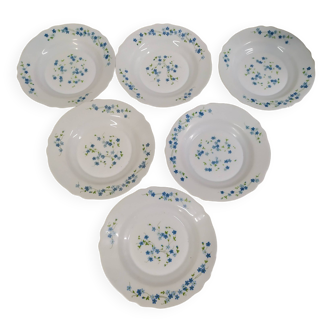 Set of 6 Arcopal Véronica Myosotis vintage blue flower soup plates