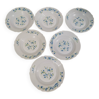 Lot de 6 assiettes creuse Arcopal Véronica Myosotis fleur bleu vintage