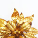 Pair of gilt wall lights by Hans Kögl, Italy 1960's