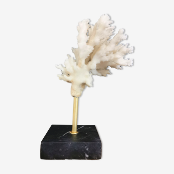 Branche de corail monté sur socle en marbre noir veiné blanc