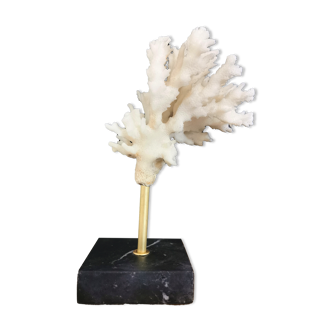 Branche de corail monté sur socle en marbre noir veiné blanc