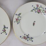 6 flat plates with cornflower decoration