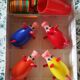 Jeu "le cochons qui rit" complet