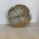 Empty gold leaf pocket