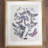 Very beautiful botanical lithograph with vintage butterfly 2