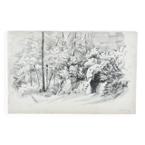 Landscape drawing: in the Forest of Asnières - 49