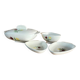 Ensemble soupière, saucière et raviers Salins Crocus