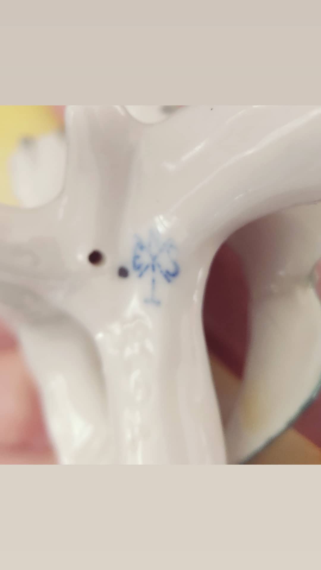 XIXth century porcelain parakeet of Saxony by Karl ENS