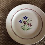 Set of 10 flat plates