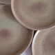 Set of 8 stoneware plates
