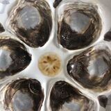 Saint Amand earthenware oyster set: tray and six plates