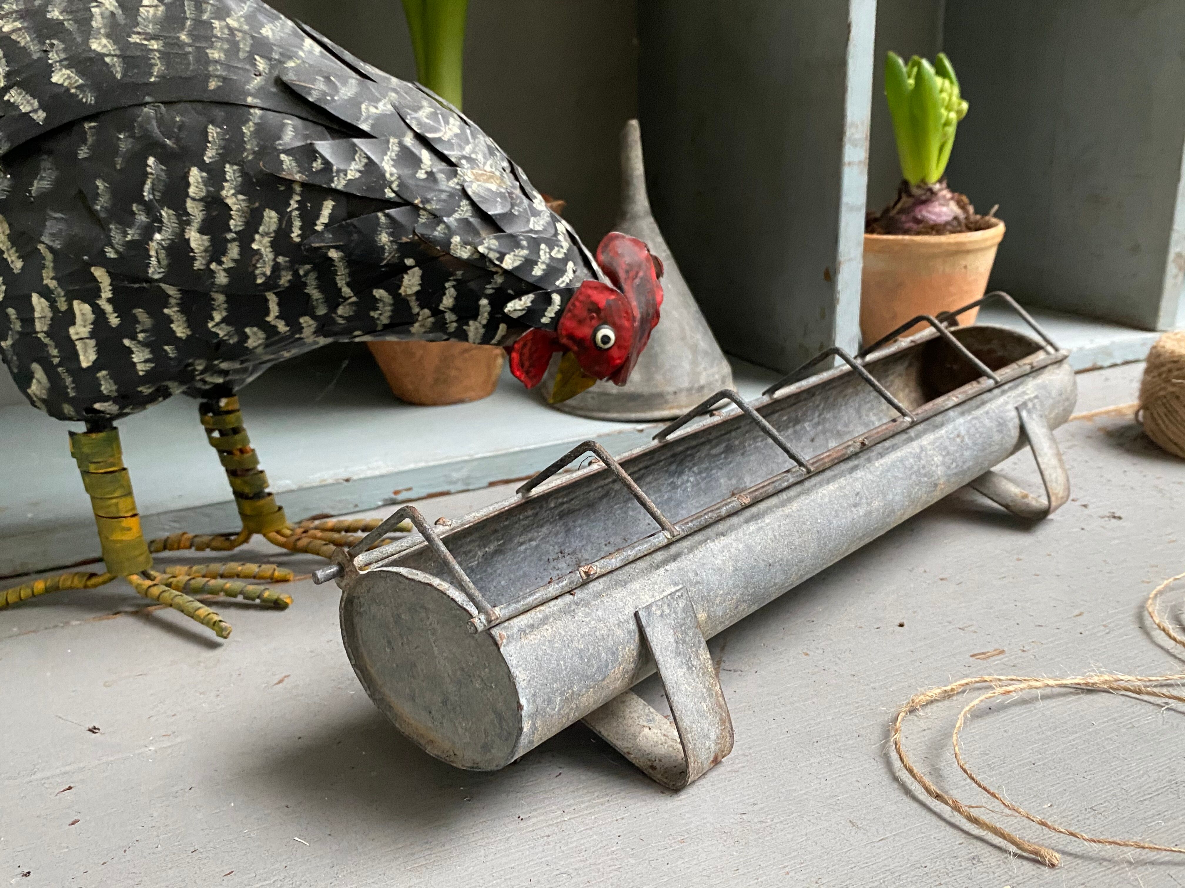 Distributeur grains pour oiseaux