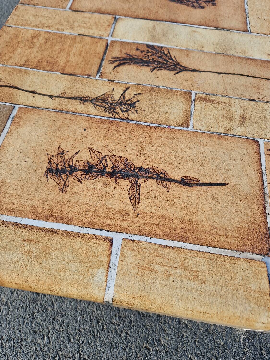 Vintage coffee table by Roger Capron, herbarium model