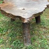 Elm wood table