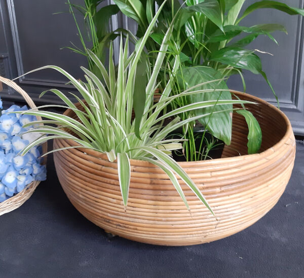 Hide pots or plant holders