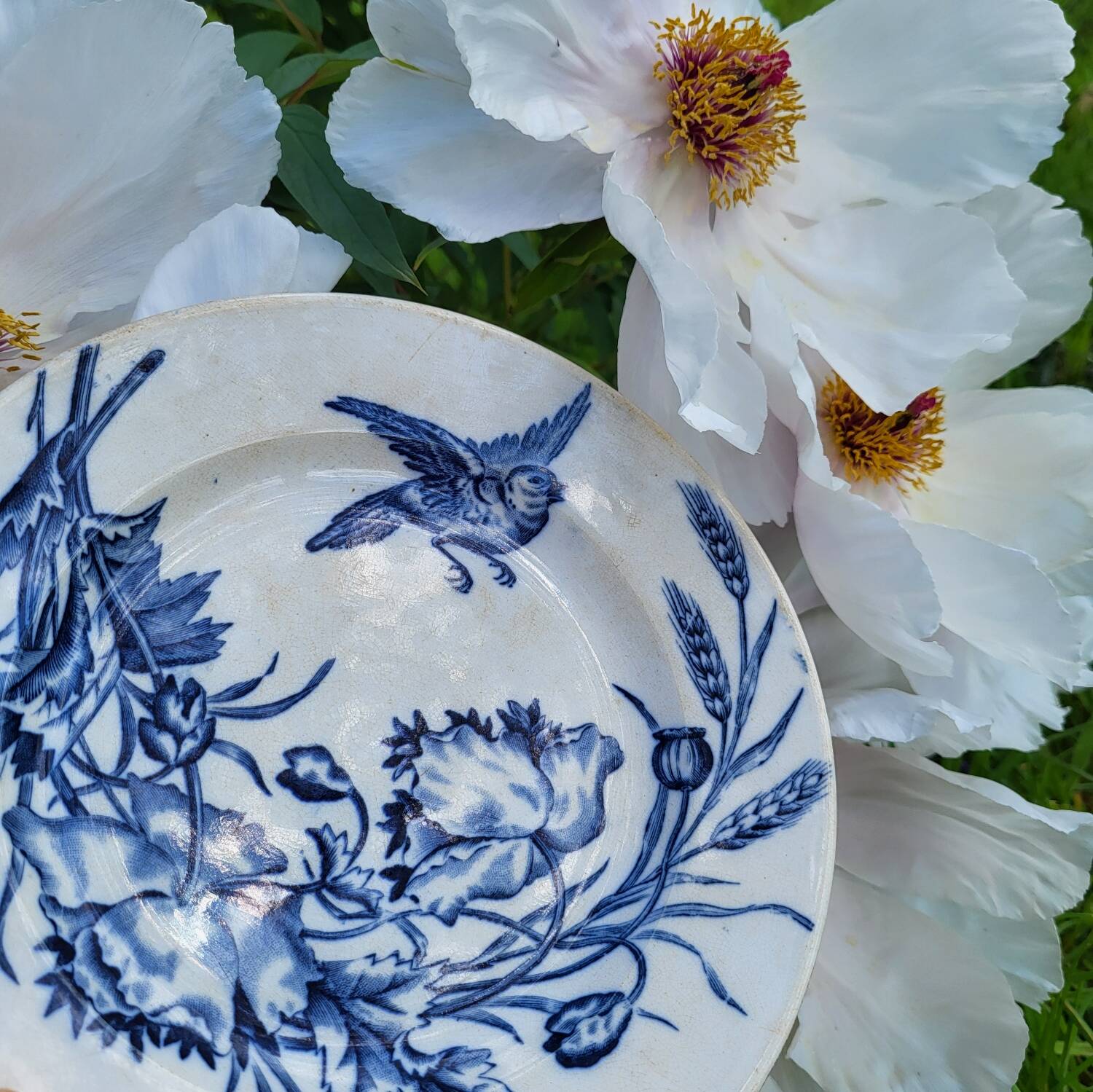 BFK Flora & Vögel Ironstone Plate