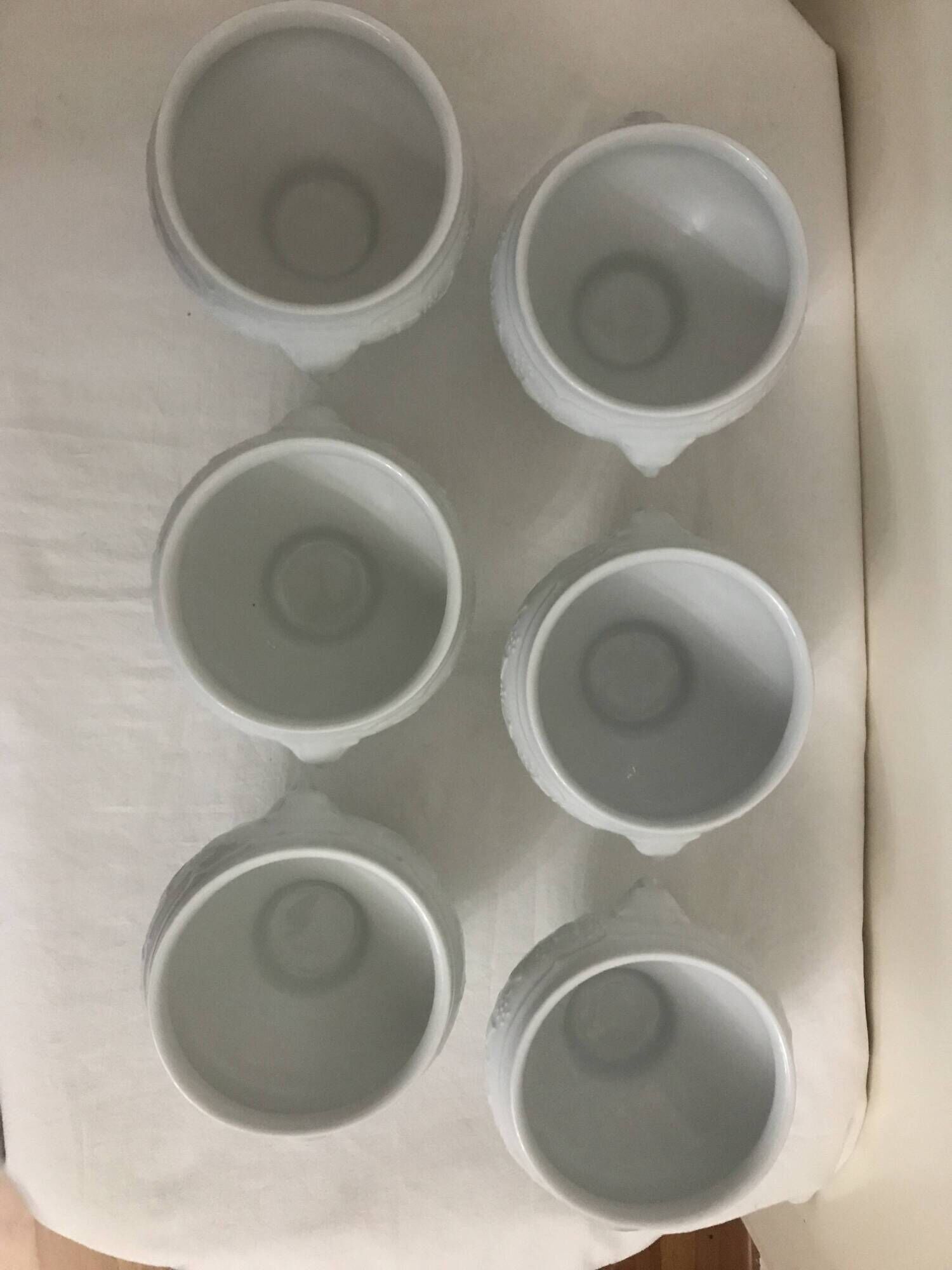 6 white porcelain broth bowls Wild Ivy